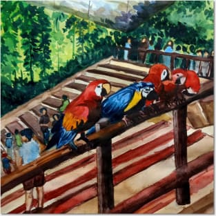 Colorful Companions in the Aviary. Posters and Art